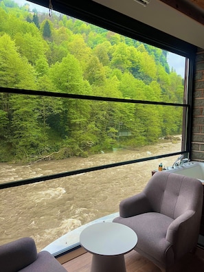 Habitació amb finestra gran que dona a un riu i un bosc.