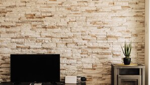 A living room with a stone wall, a flat-screen TV, a small table with a plant, and a wood-burning stove. - Golden Hour – Exclusive Holiday Home with Sea Views in Croatia (Slivnica)