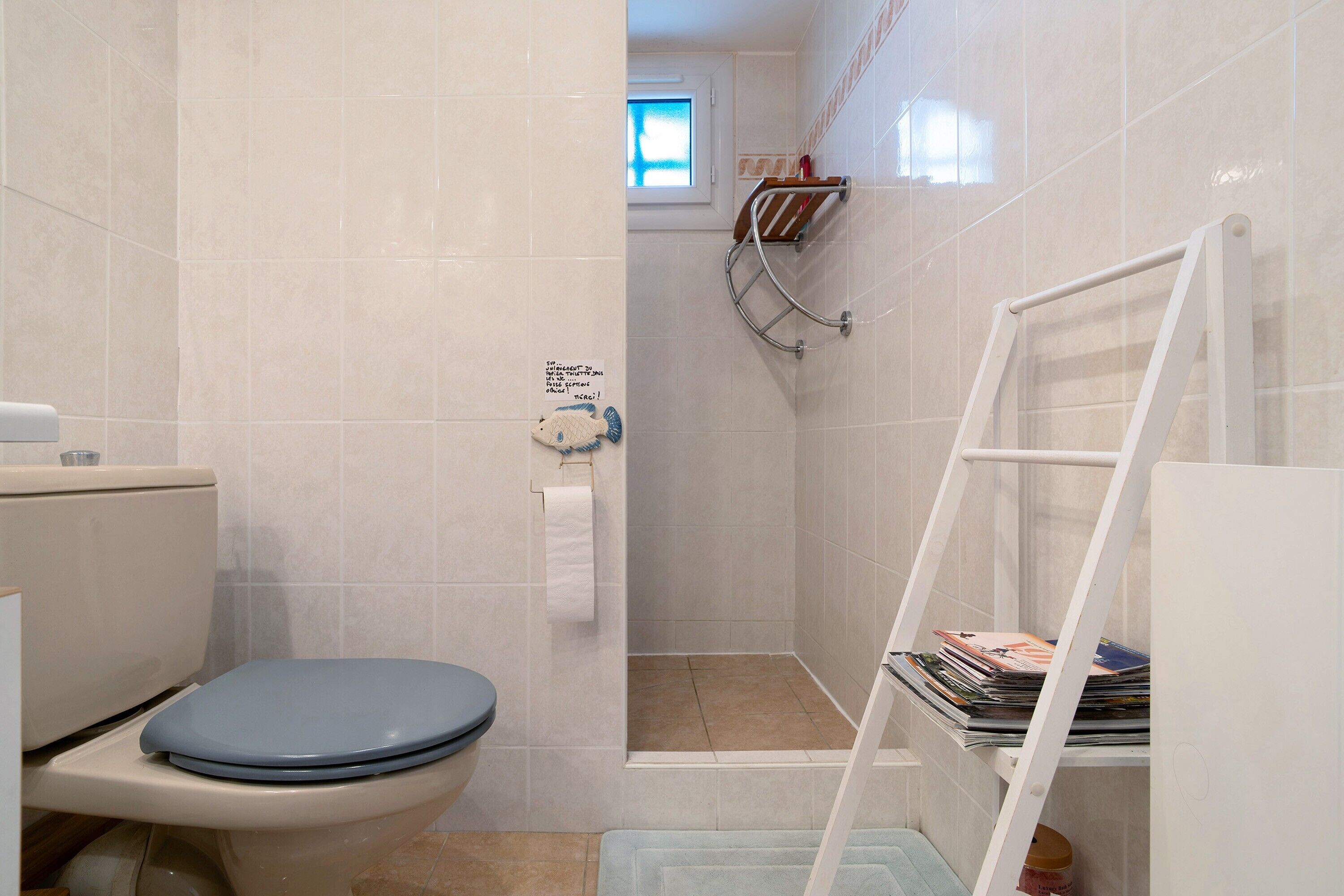 Une salle de bain équipée de toilettes, d’une douche et d’une échelle.