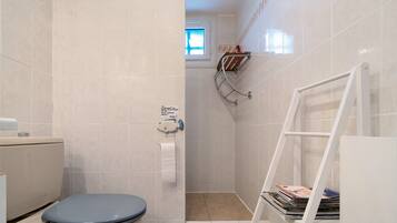 A bathroom with a toilet, a shower, and a ladder.