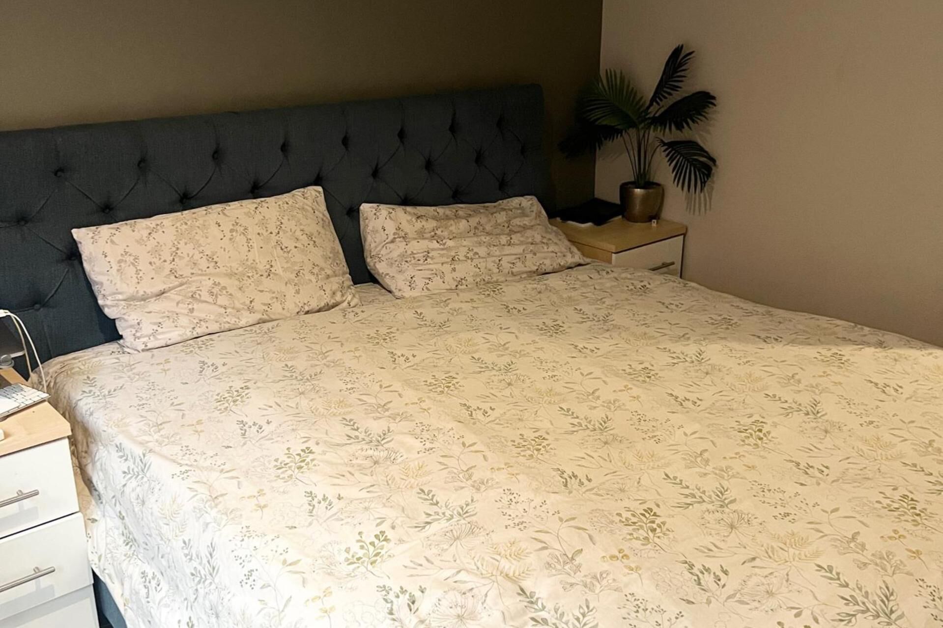 A bed with floral bedding, a dark headboard, and a bedside plant.