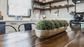 Et træbord med en række små krukker med planter.