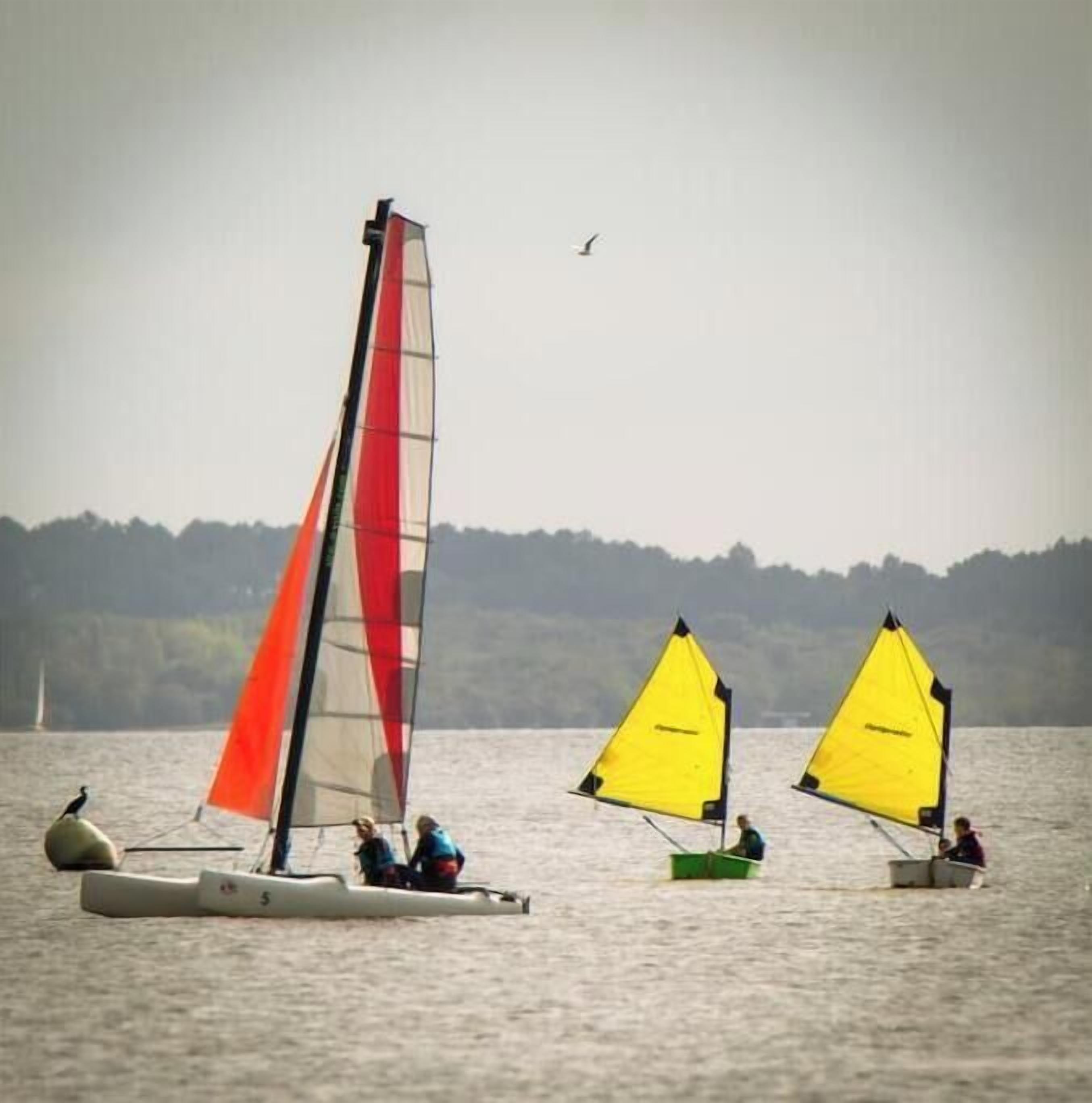 Miscellaneous