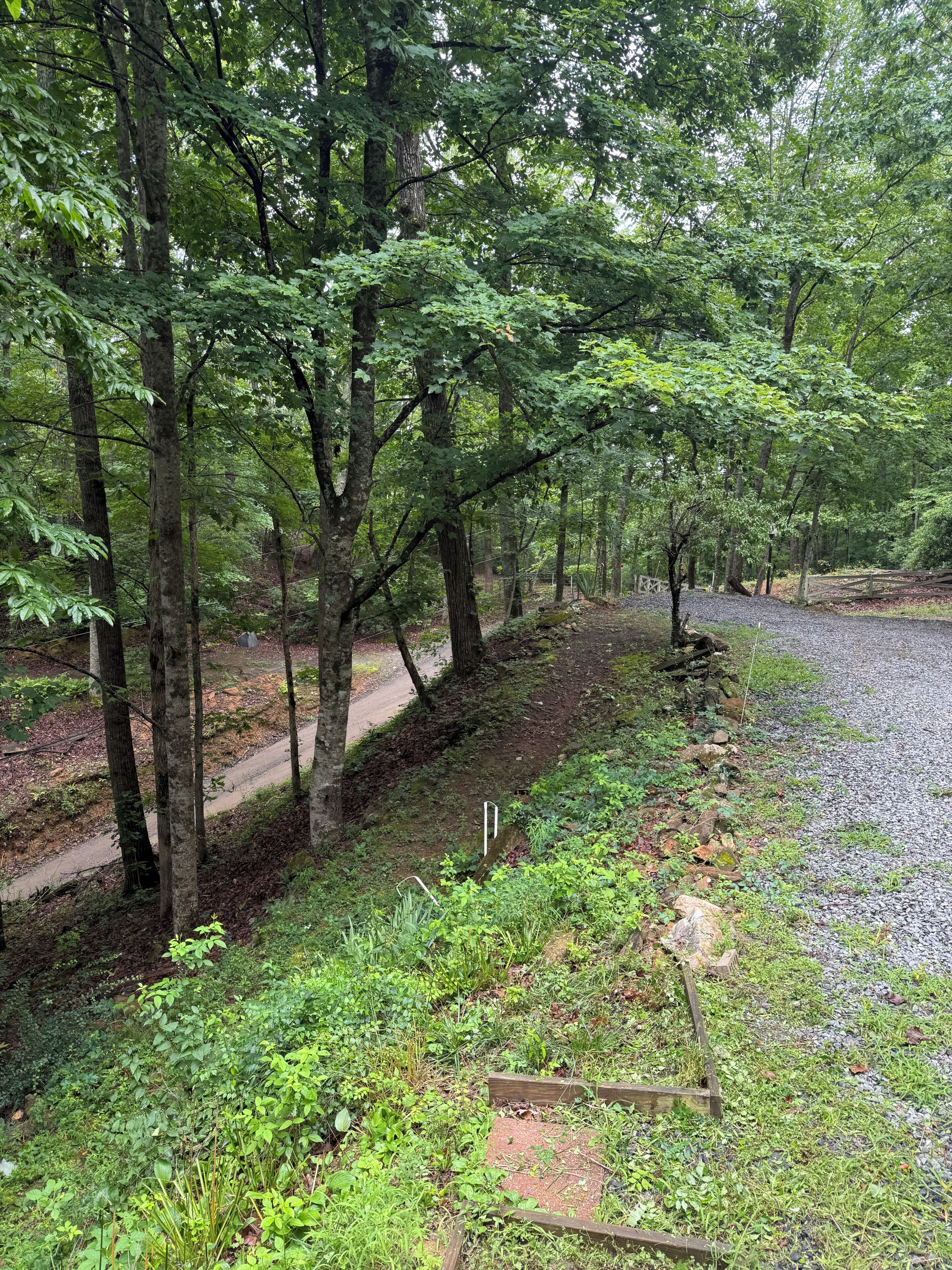 A forested area with a gravel path, trees, and a wooden fence.