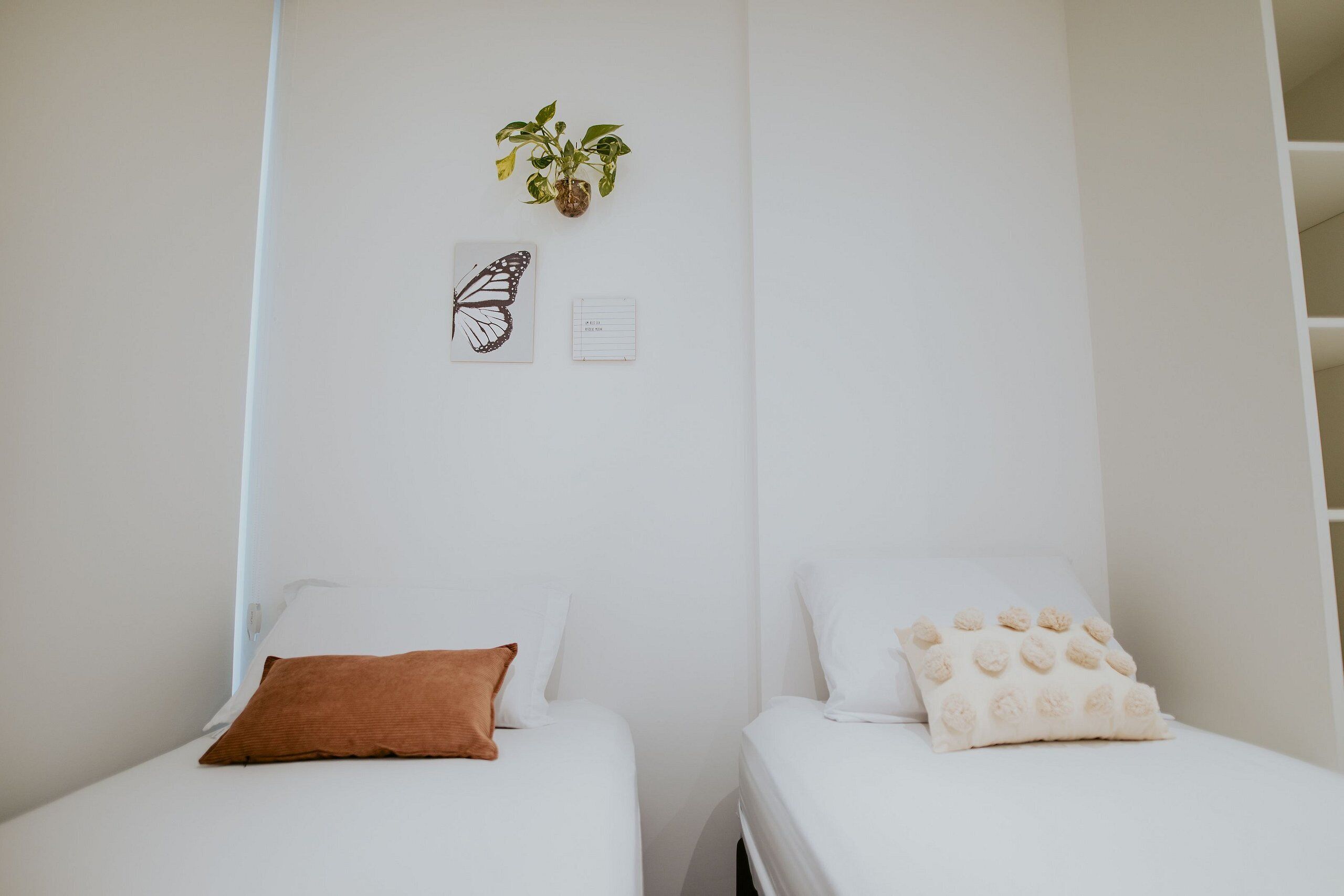 Two beds with white bedding, a brown pillow on the left bed, and a patterned pillow on the right bed. There is a plant hanging on the wall above the beds.