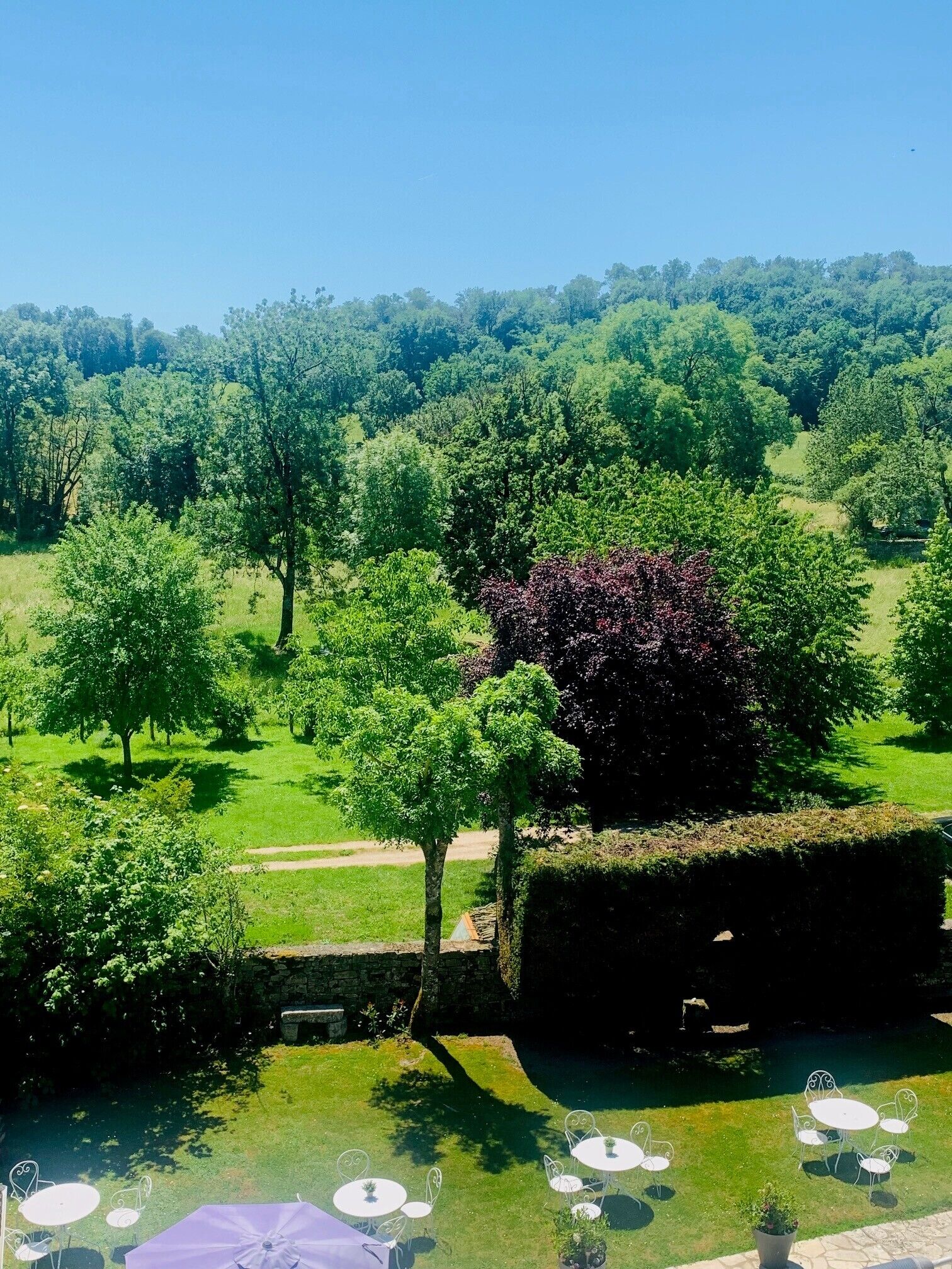 Um jardim exuberante com um lago, rodeado por árvores e um muro de pedra.
