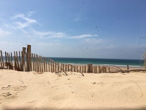 海滩