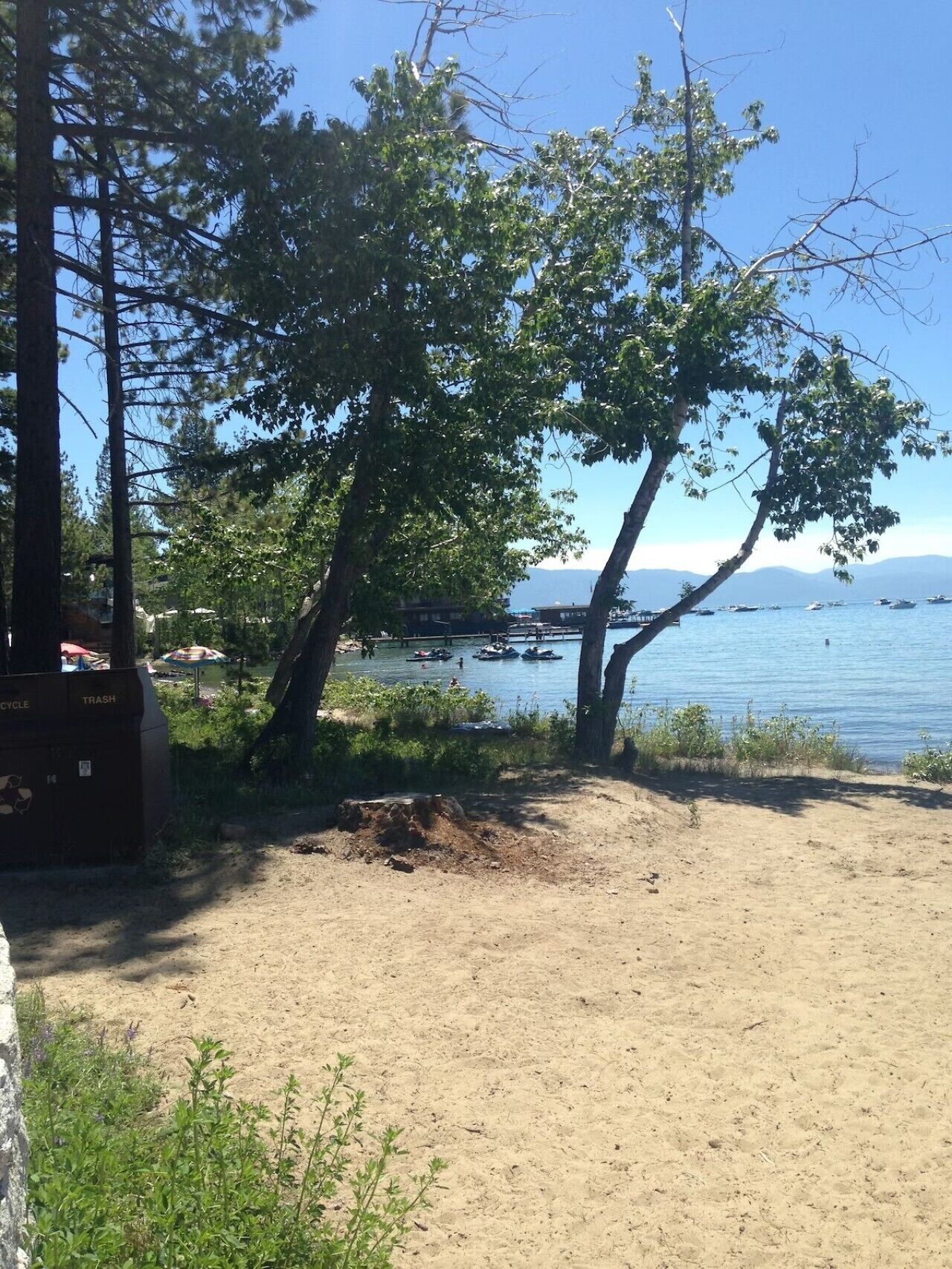 A sandy beach with trees and a clear view of the water.