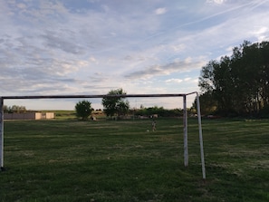 Un campo da calcio all'aperto con un portale, alberi e cielo sereno.