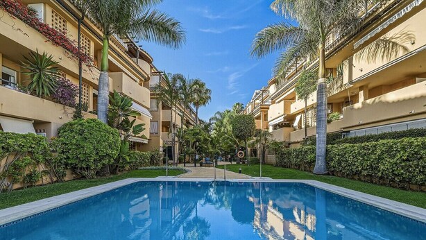 Una piscina envoltada d'edificis d'altes plantes amb balcons, palmeres i vegetació ben cuidada.