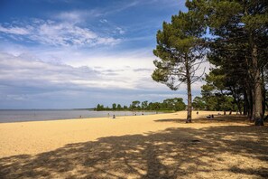 Une plage avec du sable, des arbres et une étendue d’eau.