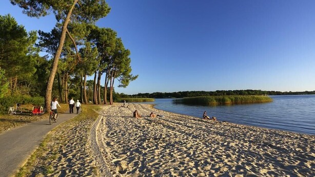 A sandy beach with a path, trees, and a calm lake. - Cocoon apartment in Sanguinet - lake, forest, Pilat dune and ocean (Sanguinet)