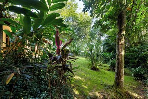Un jardín exuberante con diversas plantas y árboles, un sendero de césped y un edificio parcialmente visible a la izquierda.