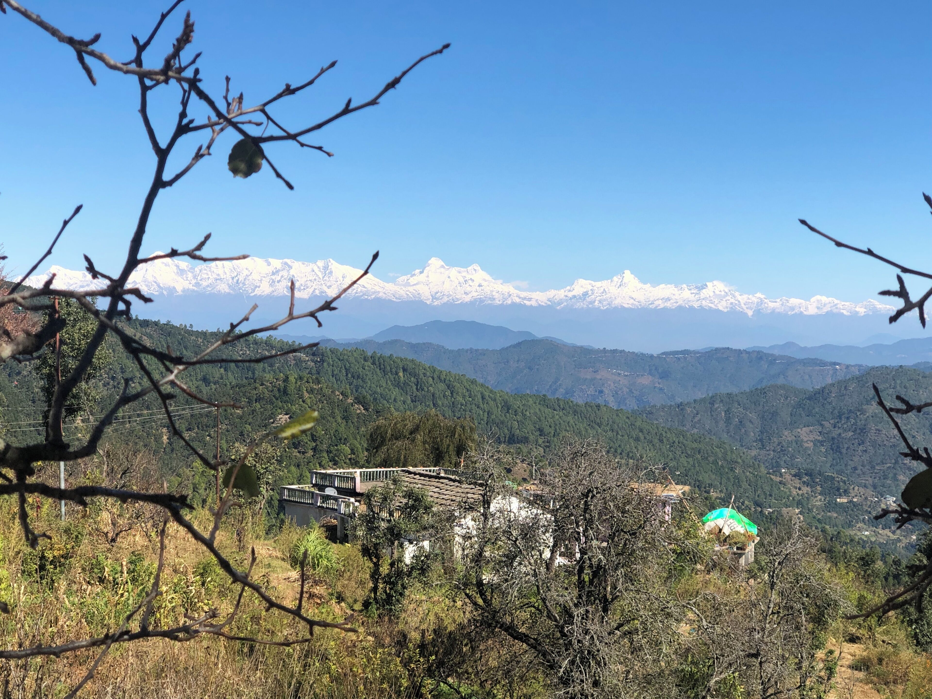 Paisaje montañoso con picos nevados al fondo, una casa con techo verde en primer plano, y una rama de árbol en primer plano.