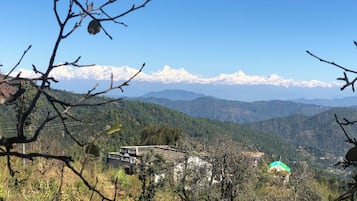 Paisaje montañoso con picos nevados al fondo, una casa con techo verde en primer plano, y una rama de árbol en primer plano.