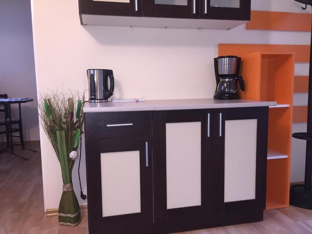 Een keuken met een aanrecht, kastjes, een koffiezetapparaat en een vaas met planten.