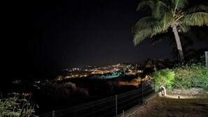 Une vue nocturne d’une zone côtière, avec un palmier, une clôture et les lumières lointaines de la ville.