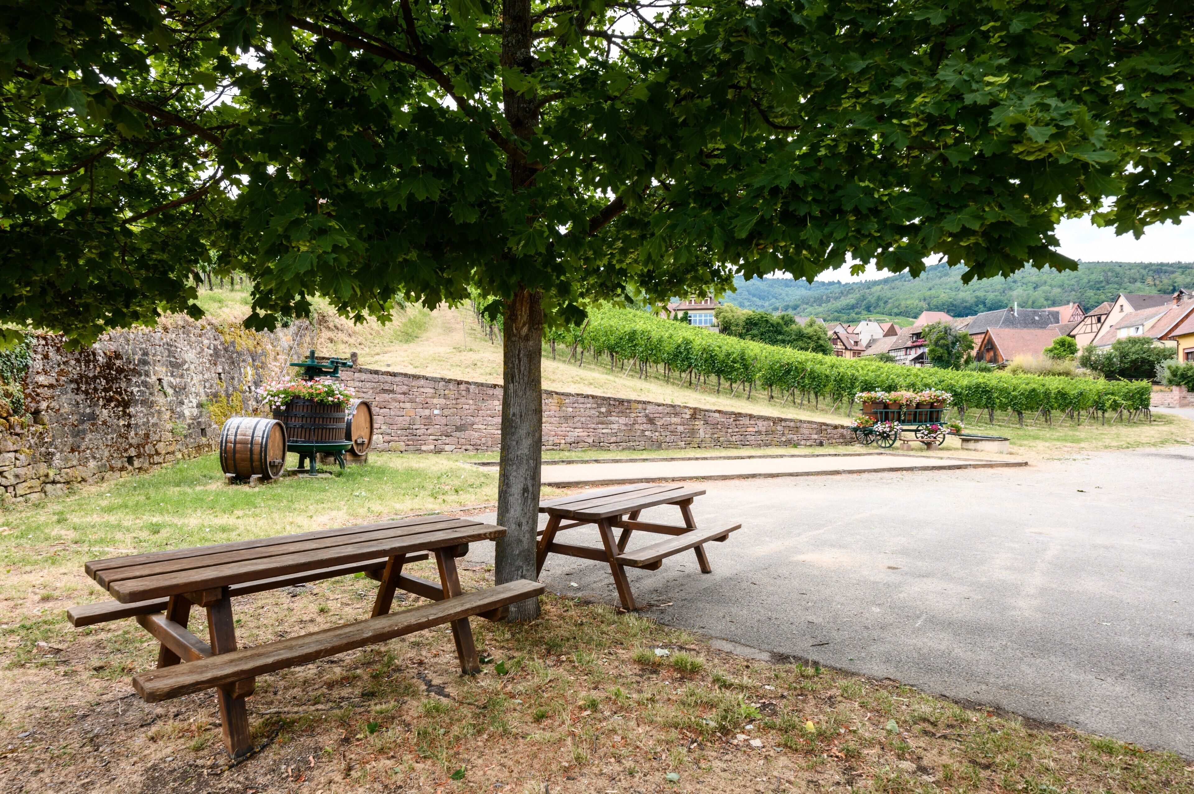 Restaurante al aire libre