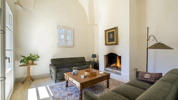 TV, fireplace