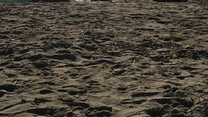 Una playa arenosa con huellas que conducen al agua, una isla distante y un cielo parcialmente nublado.
