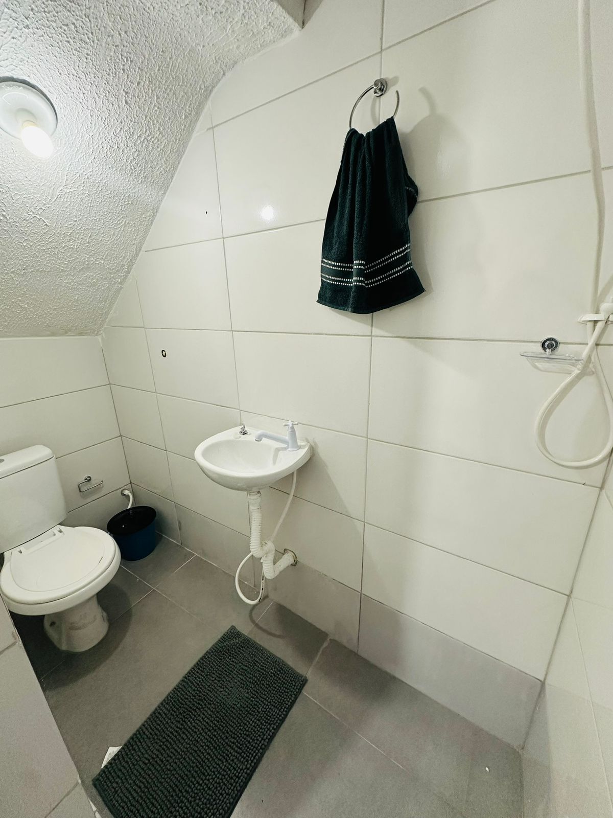 Shower, toilet paper