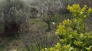 A landscape with trees and a distant view of a town. - Villa BRUNI Wine Guest House (Montefalco)