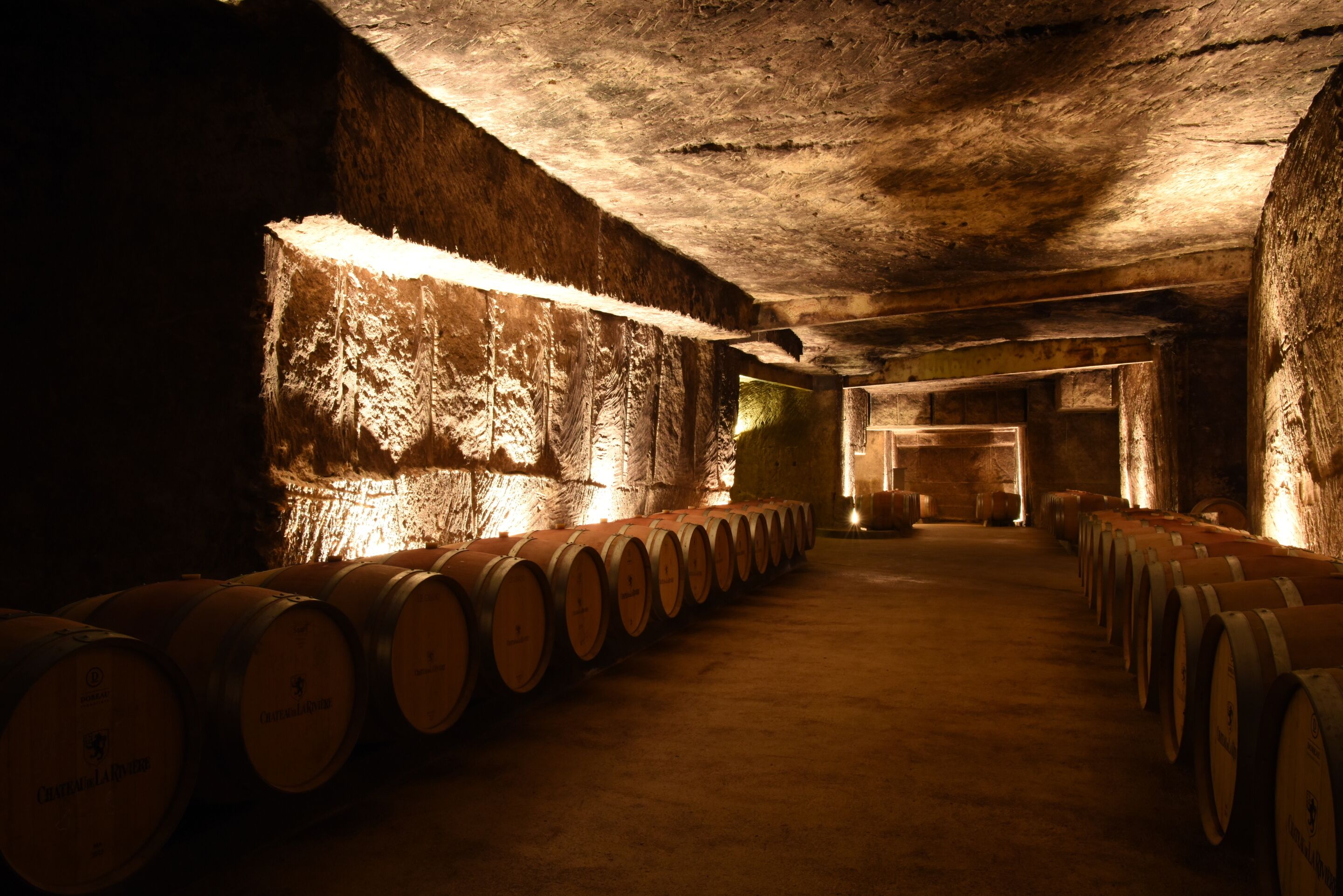 Una bodega tenuemente iluminada con hileras de barriles de madera, paredes de piedra y techo rustico.