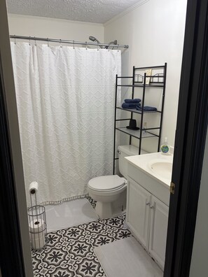A bathroom with a toilet, a shower curtain, a sink, a mirror, and a shelf with towels. - Fabulous 3-bedroom house with AC in charming Union (Union)