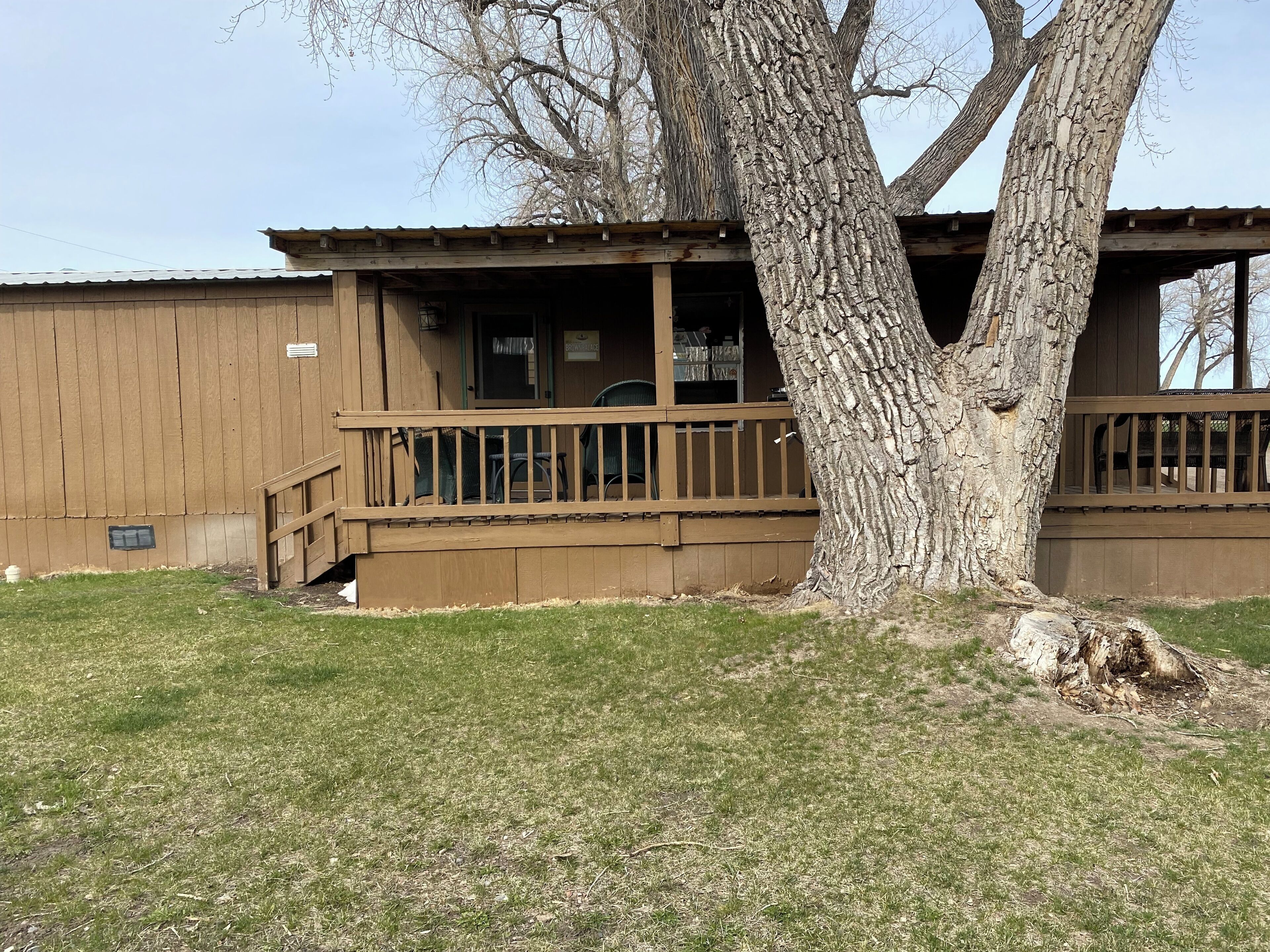 A wooden building with a porch, a tree in front, and a grassy area.