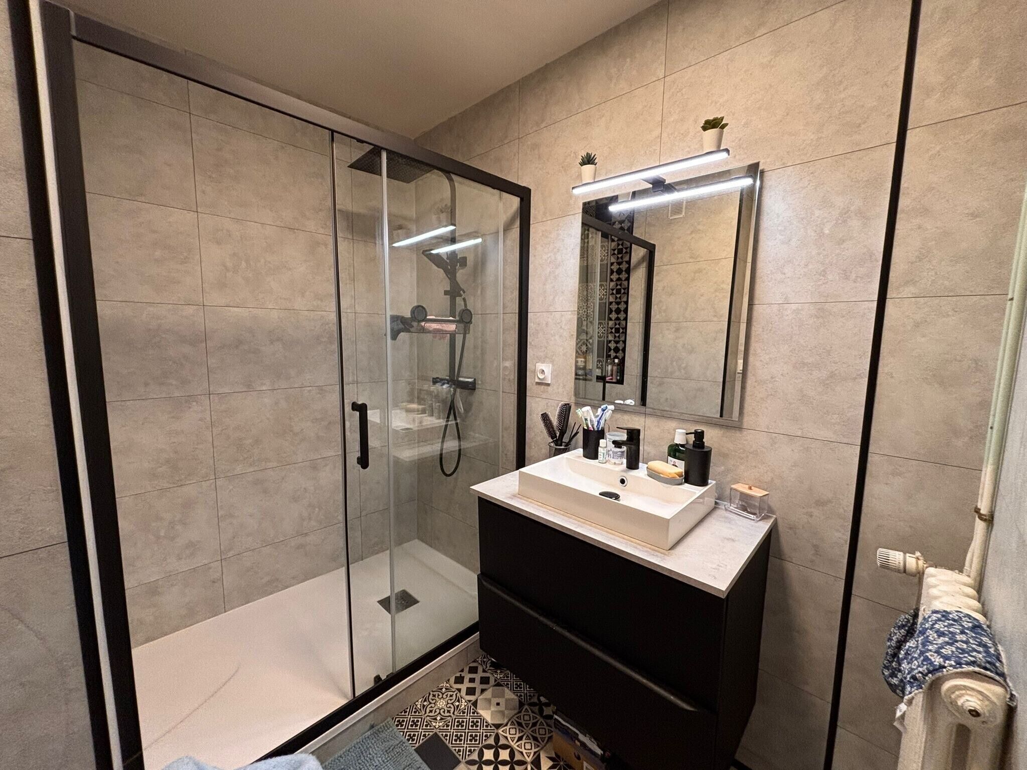Shower, hair dryer