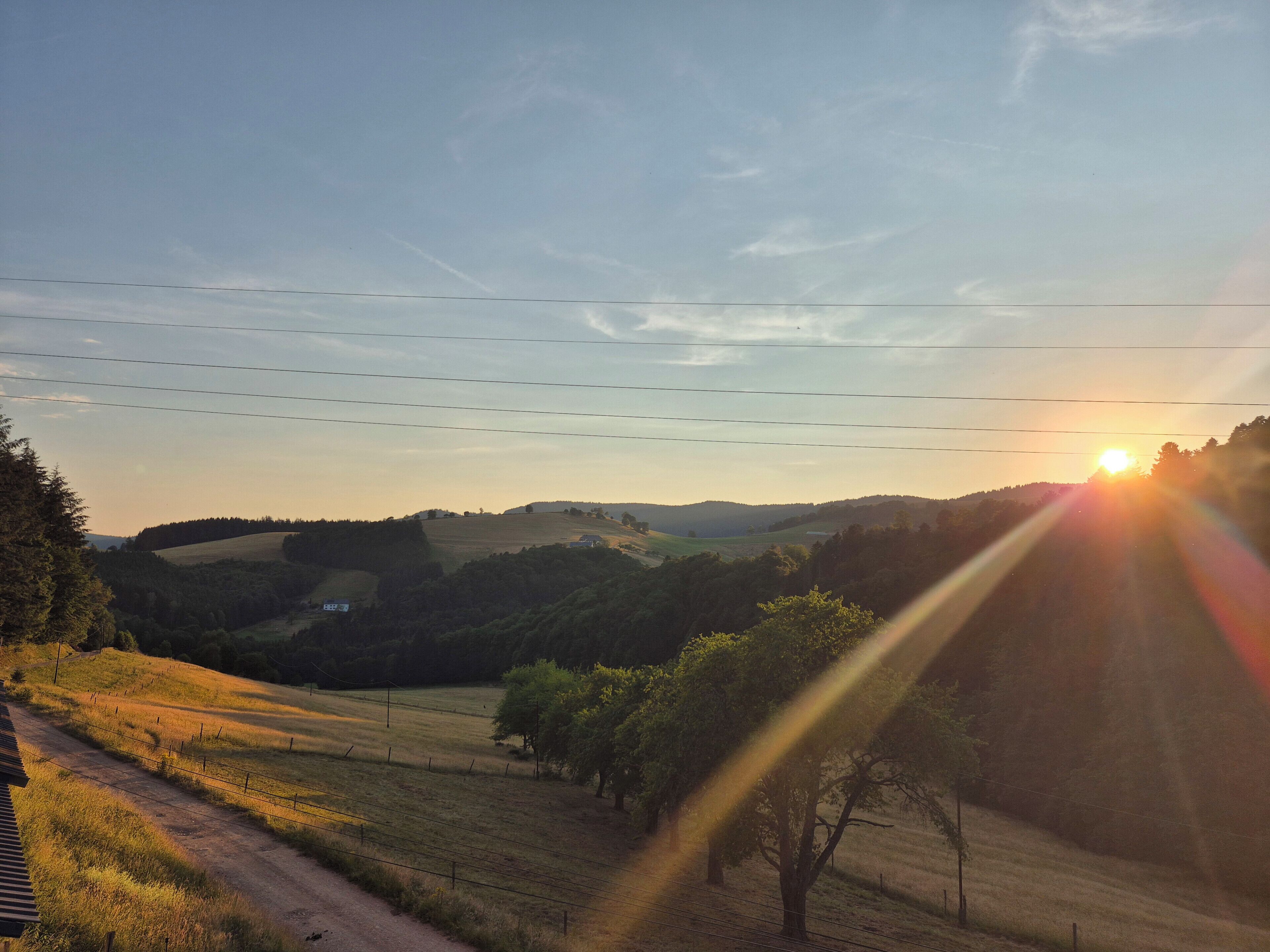 A rural landscape with a dirt road, trees, and hills.