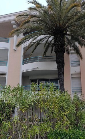 Ein Gebäude mit einer Palme vor der Fassade, Balkonen und verschiedenen Pflanzen.