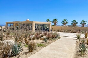 A modern building with a glass facade, surrounded by a desert garden with cacti and palm trees. - Charming Coastal Resort With Ocean Views, Pool, Gym and Shared Amenities (Cabo San Lucas)
