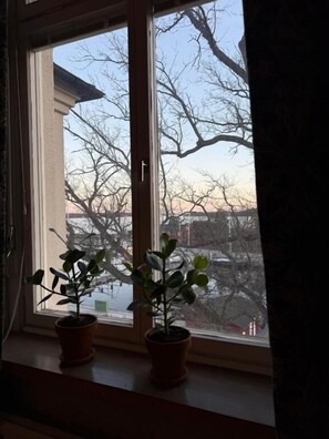 Una ventana con dos macetas y plantas en el alféizar.