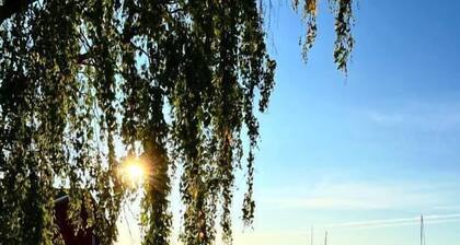 Rindö Hamn Bed & Breakfast