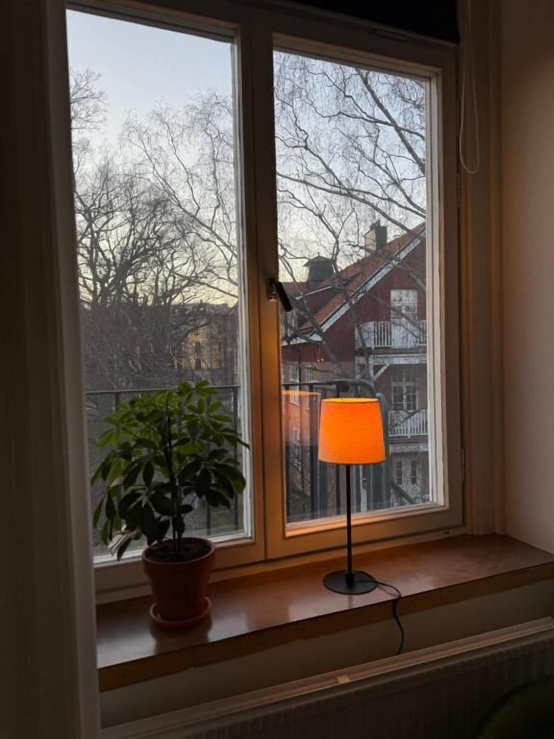 Une fenêtre avec un pot de fleurs et une lampe posés sur le rebord.