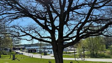 Ein großer Baum in einem Park mit blauem Himmel und einem weiten Blick auf eine Marina.
