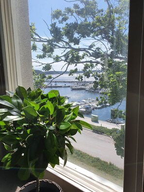 Vista desde una ventana a un puerto deportivo con barcos, un muelle y un árbol.