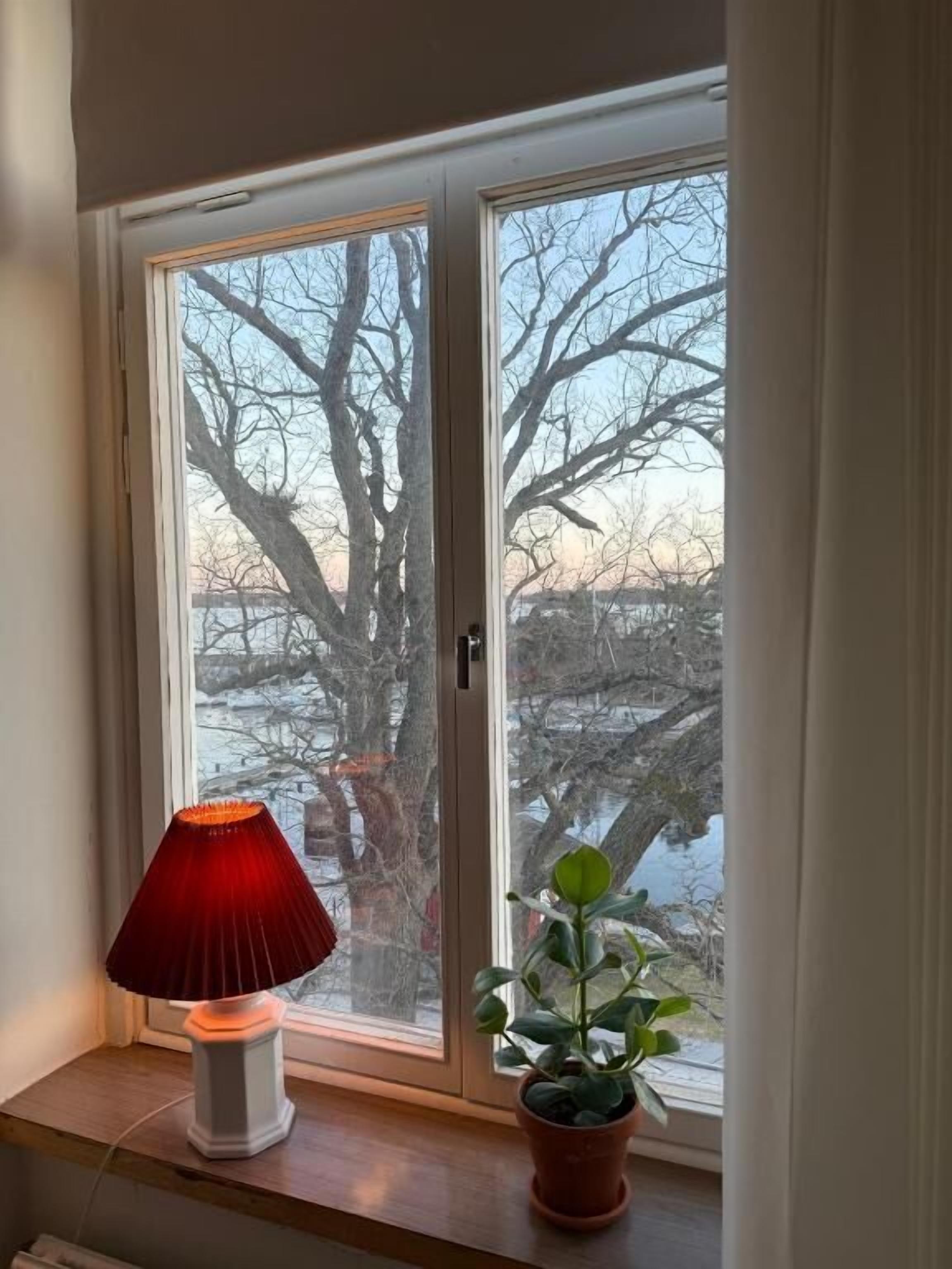 A window with a red lamp and a potted plant.