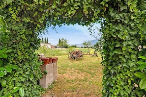 Property grounds - Casa Ortensia: Country House with Private Terrace, Garden, and Wi-Fi (Spoleto)