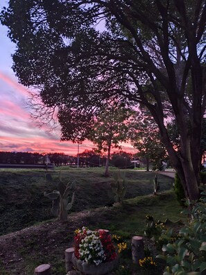 Een park met bomen, een zonsondergang, een bloembed en een gazon.