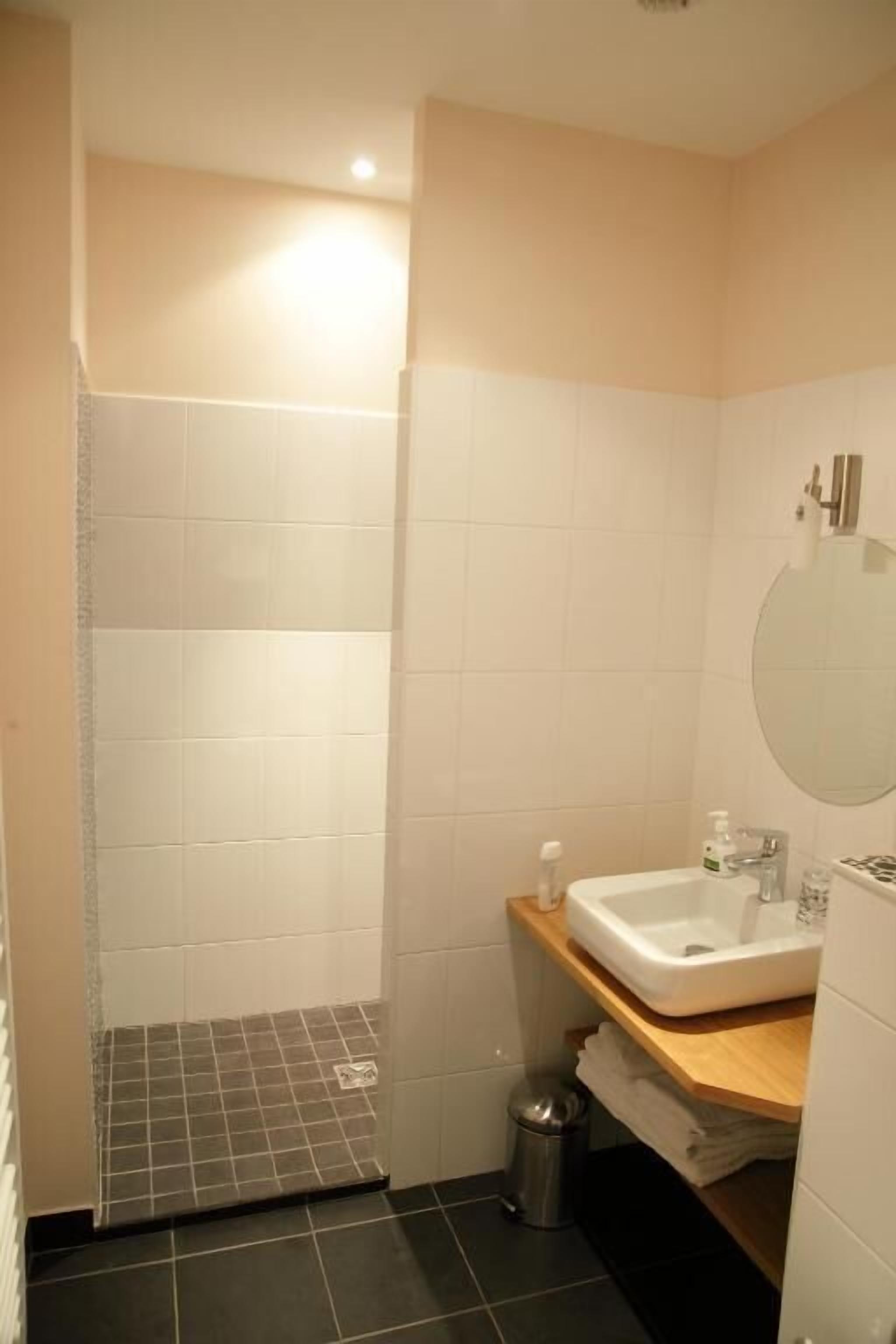 Loftsrom – deluxe, aircondition, hageutsikt | Bad