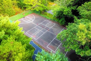 An aerial view of a basketball court surrounded by dense green foliage. - #1 Celebrity Mansion Estate Huge Dance Floor &  Pool Pickleball Secret Speakeasy (East Stroudsburg)
