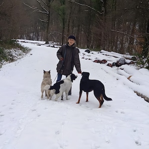 Eine Person geht mit drei Hunden auf einem verschneiten Pfad.