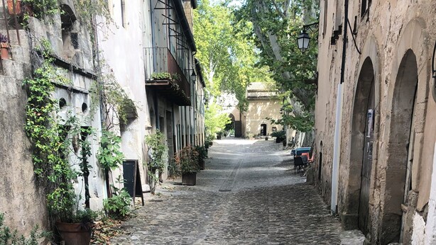A cobblestone alleyway with buildings on either side, some with plants and a few with visible doors. - Natura residence near salagou (Clermont-l'Hérault)