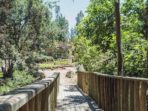 A wooden boardwalk pathway surrounded by lush greenery and trees.