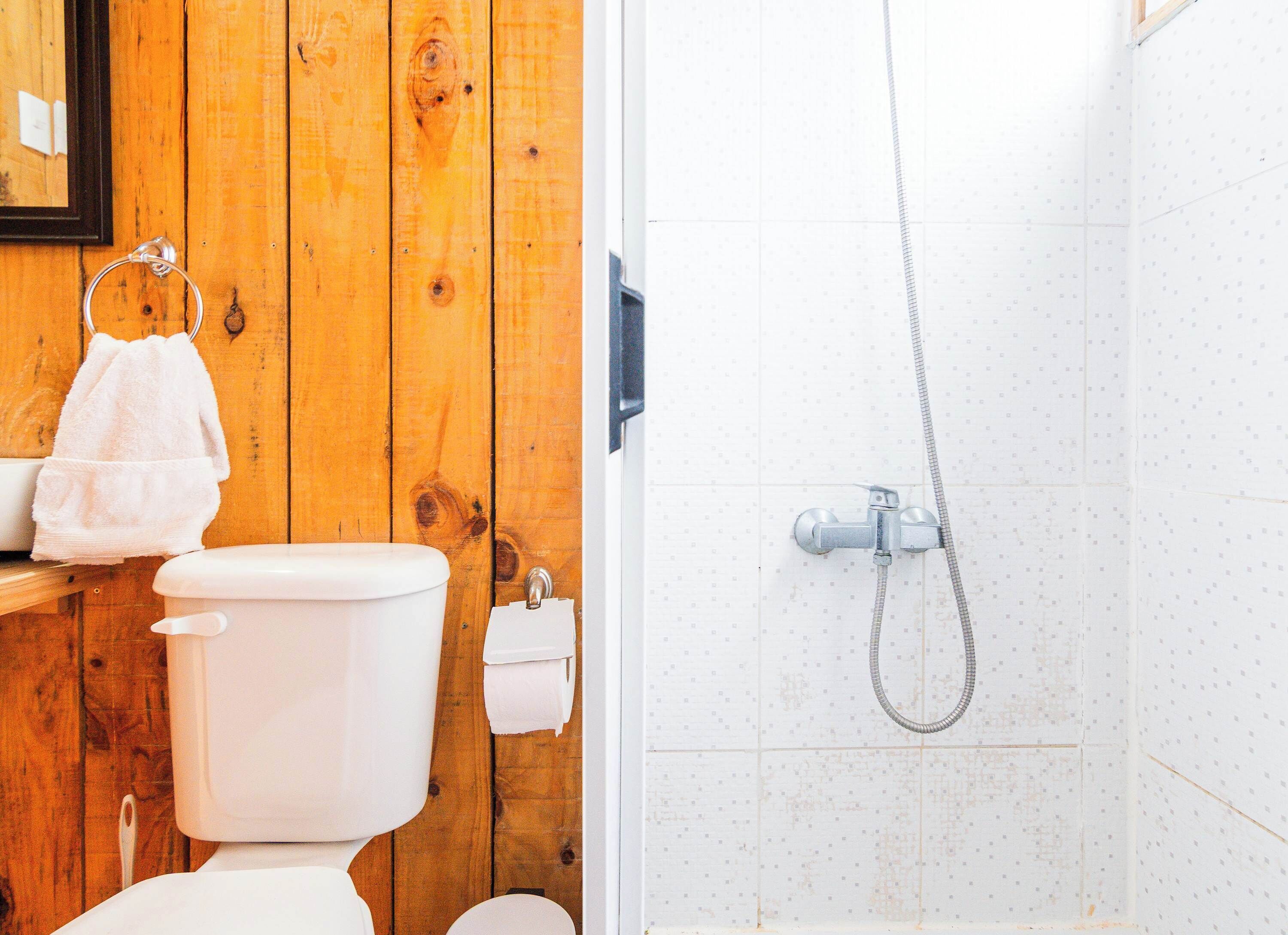 Shower, towels