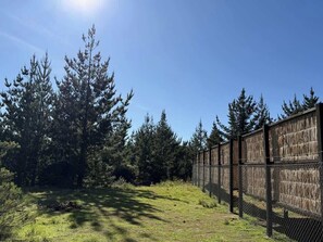 A fenced outdoor area with tall trees and a clear sky.