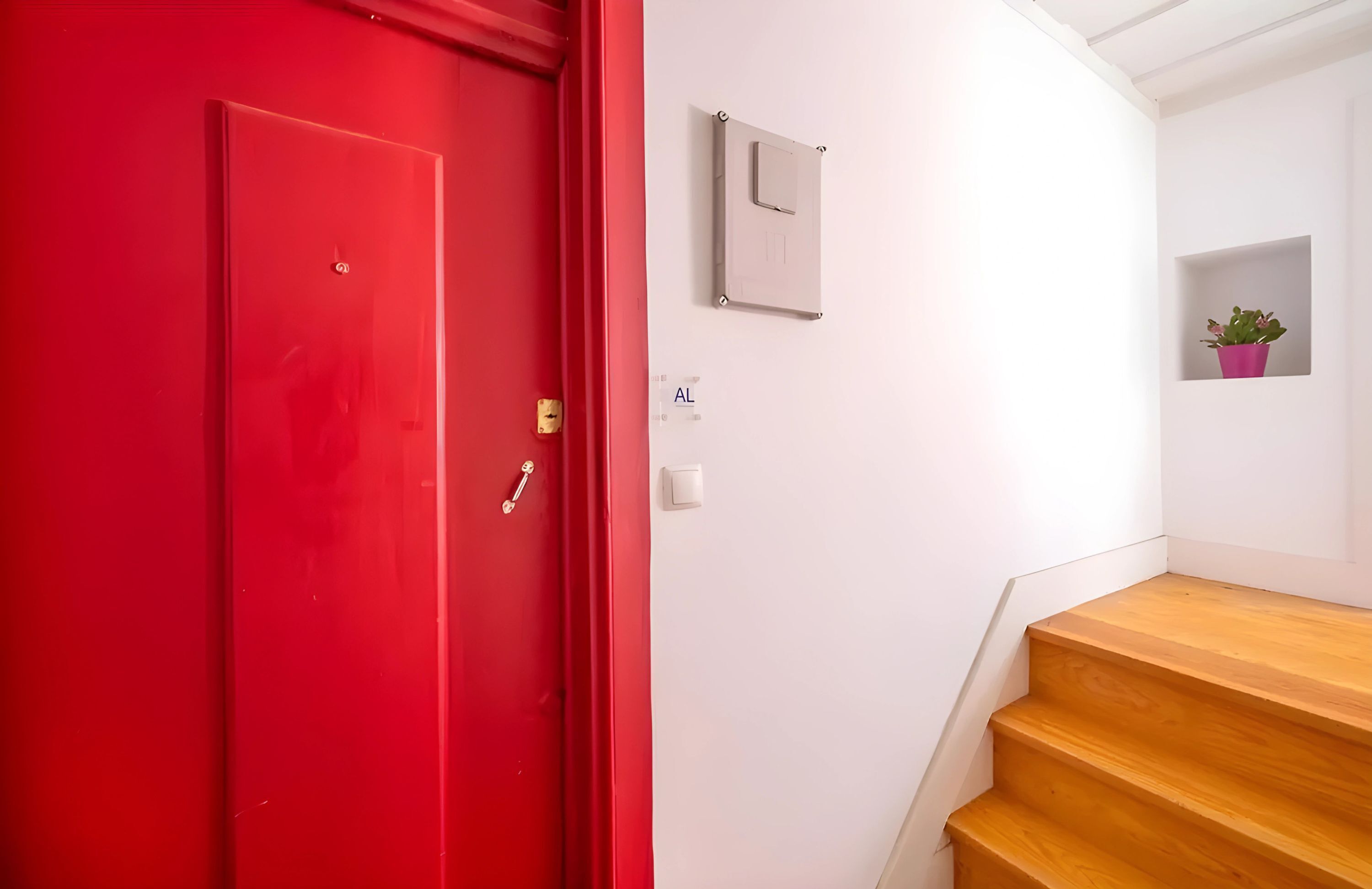 A red door, a light switch, a small potted plant, and wooden stairs.