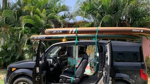Ein Fahrzeug mit einem Surfbrett auf dem Dach, geparkt in einer grünen Parklandschaft mit Palmen im Hintergrund.